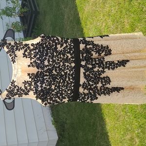 Woman's Short Lace Dress
